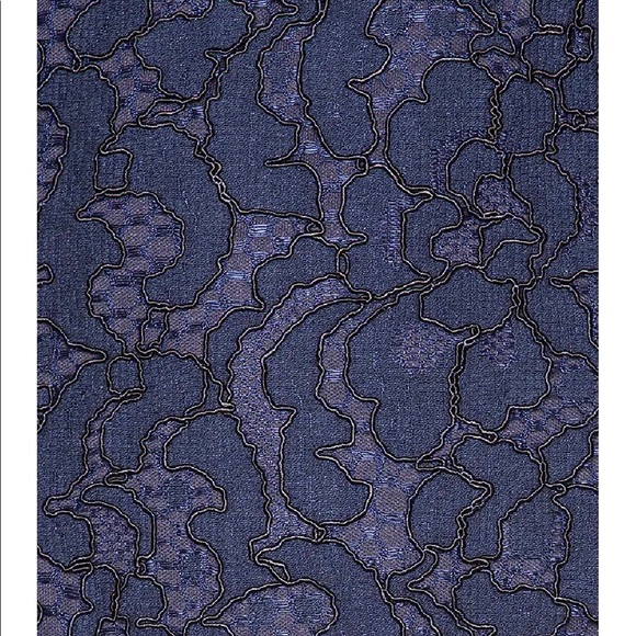 Navy Lace Mini Dress - Picture 4 of 5